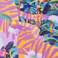 CORAL DUSK I & II