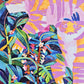 CORAL DUSK I & II